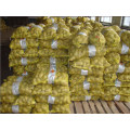 Goldener Lieferant in China Frische Kartoffel (100-200g)